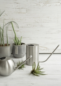 Дизайнерская металлическая лейка из нержавеющей стали для комнатных растений TG296 Esschert Design фото