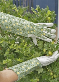Кожаные перчатки с длинными манжетами для обрезки роз и колючих растений Sicilian Lemon Garden Briers фото