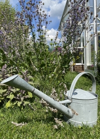 Оцинкованная садовая лейка для цветов 5 л. в винтажном стиле W2024 от Esschert Design фото