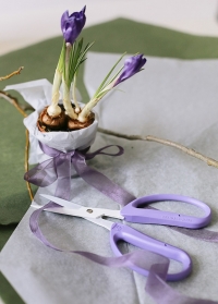 Японские флористические ножницы Chikamasa в подарок флористу в интернет-магазине Consta Garden фото