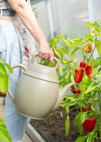 Лейка садовая для полива цветов в форме чайника Chai Olive Grey от Xala (Нидерланды) на сайте Consta Garden