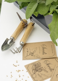 Набор садовых мини-инструментов GT76 от Esschert Design (Нидерланды) фото Consta Garden