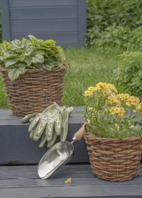 Корзины плетеные для выращивания цветов для сада и огорода Decor Trio от Smart Garden (Великобритания) фото