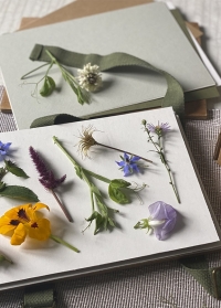 Набор для создания гербария - пресс для гербария, инструменты купить в интернет- магазине Consta Garden