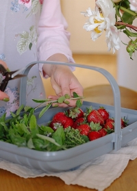 Корзина для сбора урожая пластиковая TidyTrug от Smart Garden фото заказать на сайте Consta Garden