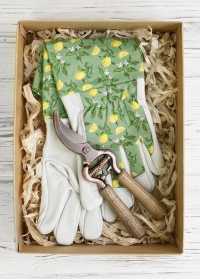 Лучший подарочный набор для сада и дачи для ухода за розами Sicilian Lemon от Consta Garden фото
