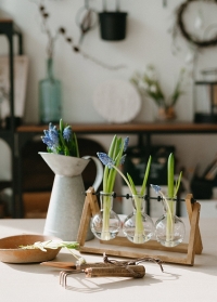 Новинка для дома - набор маленьких вазочек на деревянной подставке AGG100 Esschert Design фото на сайте Consta Garden