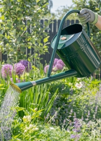 Садовая большая лейка для полива цветов 7 литров TG172 от Esschert Design (Нидерланды) фото на сайте Consta Garden