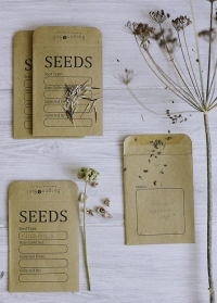 Пакетики для семян из крафт бумаги Essential Tools Burgon & Ball