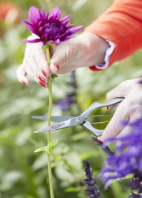 Ножницы для цветов профессиональные для садоводов и флористов от  Burgon & Ball (Великобритания) фото