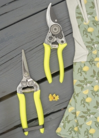 Ножницы садовые с неоновыми ручками Florabrite Yellow от Burgon & Ball (Великобритания) фото