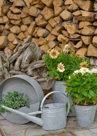 Лейка садовая из оцинкованного металла для сада и огорода W2023 от Esschert Design в интернет-магазине Consta Garden