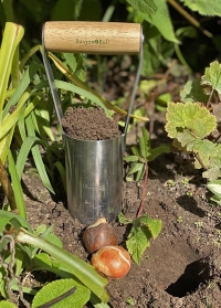 Инструмент садовый для посадки луковичных, клубней и рассады Burgon & Ball фото