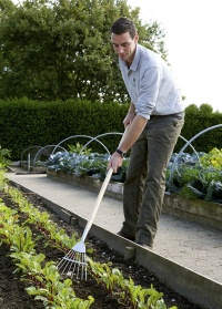Веерные грабли-культиватор для сада и огорода Burgon & Ball (Великобритания) фото