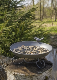 Поилка для птиц в саду (49 фото)